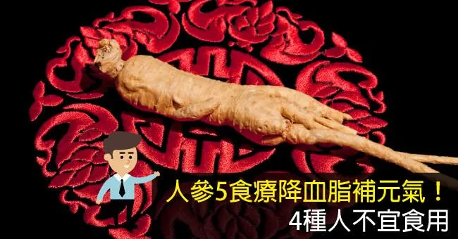 人參5食療降血脂補元氣！4種人不宜食用