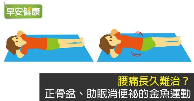 腰痛長久難治？正骨盆、助眠消便祕的金魚運動