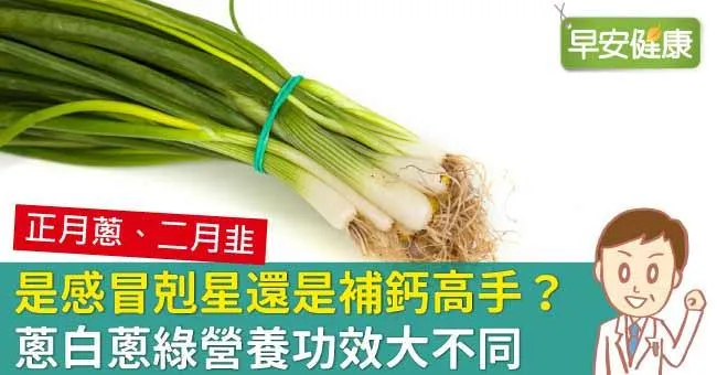 是感冒剋星還是補鈣高手？蔥白蔥綠營養功效大不同