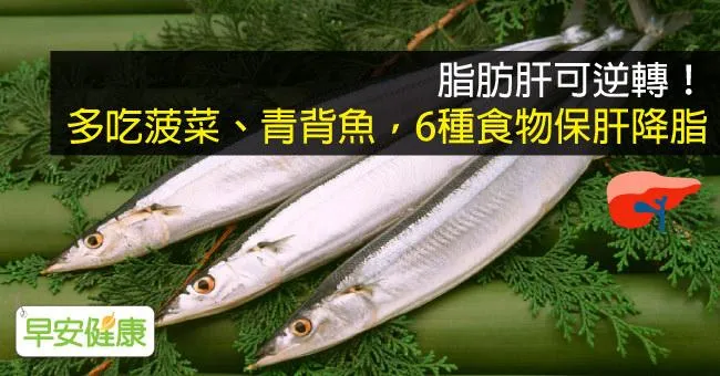 脂肪肝可逆轉！多吃菠菜、青背魚，6種食物保肝降脂