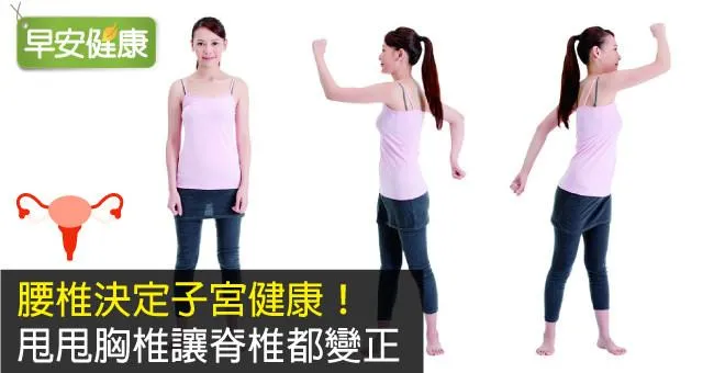 腰椎決定子宮健康！甩甩胸椎讓脊椎都變正