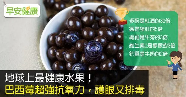 巴西莓：地球上最健康水果！巴西莓功效抗氧化又護眼