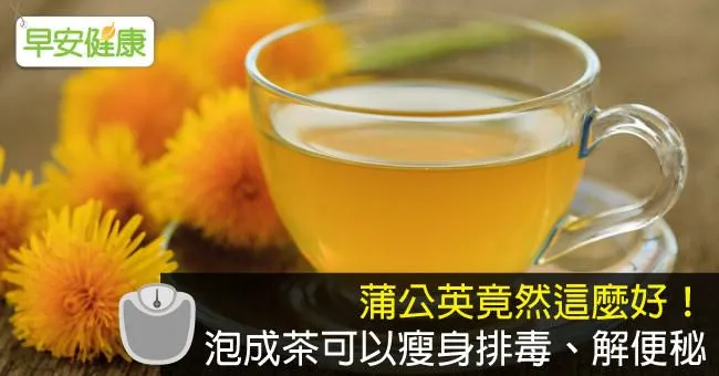 蒲公英竟然這麼好！泡成茶可以瘦身排毒、解便秘