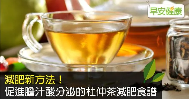 減肥新方法！促進膽汁酸分泌的杜仲茶減肥食譜