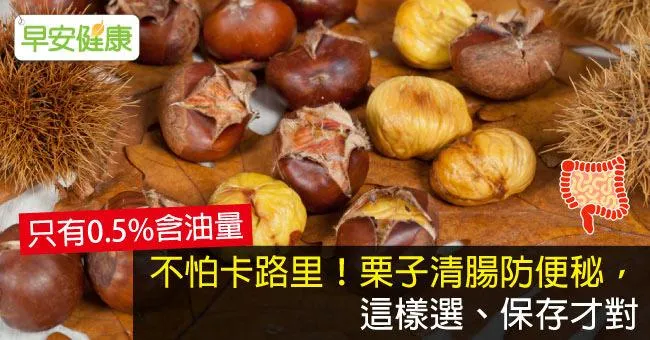 不怕卡路里！栗子清腸防便秘，這樣選、保存才對