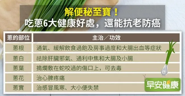 解便秘至寶！吃蔥6大健康好處，還能抗老防癌