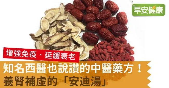 知名西醫也說讚的中醫藥方！養腎補虛的「安迪湯」