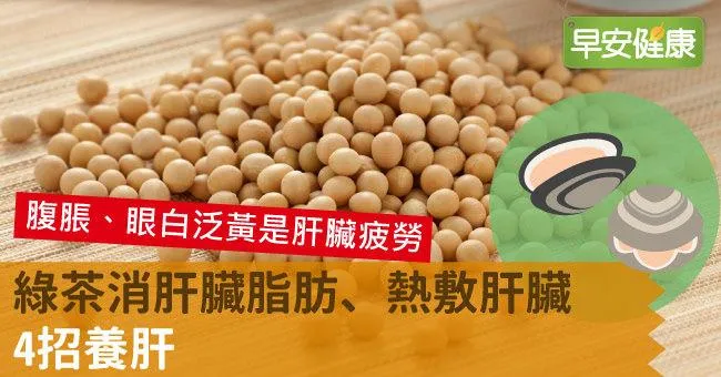 綠茶消肝臟脂肪、熱敷肝臟，4招養肝