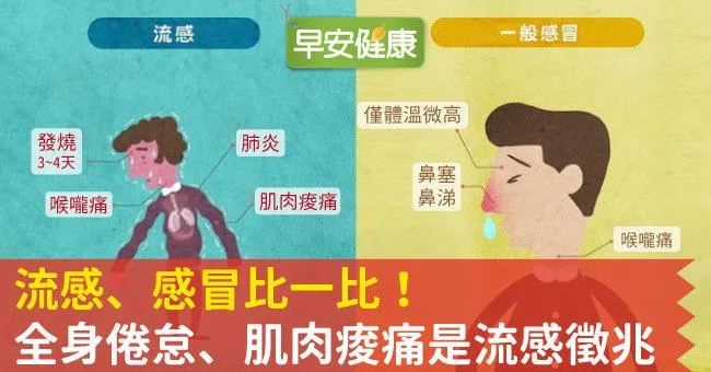 感冒全身痠痛？發燒又肌肉無力？感冒、流感症狀不同，一張圖讓你懂