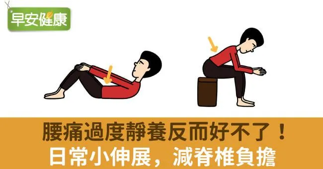 腰痛過度靜養反而好不了！日常小伸展，減脊椎負擔