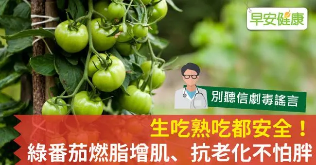 生吃熟吃都安全！綠番茄燃脂增肌、抗老化不怕胖