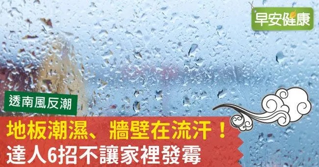 地板潮濕、牆壁在流汗！達人6招不讓家裡發霉