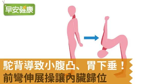 駝背導致小腹凸、胃下垂！前彎伸展操讓內臟歸位