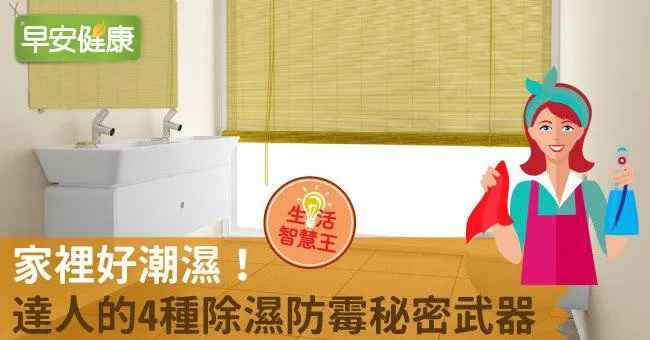 家裡好潮濕！達人的4種除濕防霉秘密武器