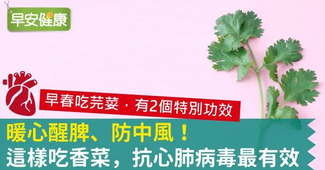暖心醒脾、防中風！這樣吃香菜，抗心肺病毒最有效