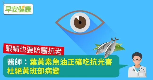 醫師：葉黃素魚油正確吃抗光害，杜絕黃斑部病變