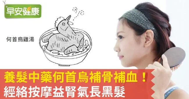 養髮中藥何首烏補骨補血！經絡按摩益腎氣長黑髮