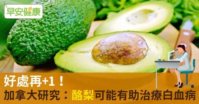 好處再+1！加拿大研究：酪梨可能有助治療白血病