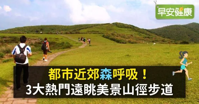 都市近郊「森」呼吸！3大熱門遠眺美景山徑步道