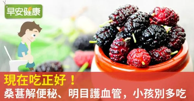桑椹現在吃正好！解便祕、明目護血管，小孩別多吃