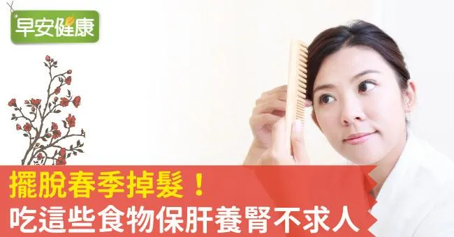擺脫春季掉髮！吃這些食物保肝養腎不求人