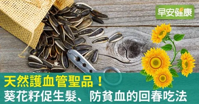 天然護血管聖品！葵花籽促生髮、防貧血的回春吃法