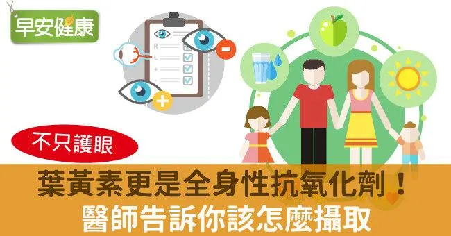 葉黃素更是全身性抗氧化劑！醫師告訴你該怎麼攝取