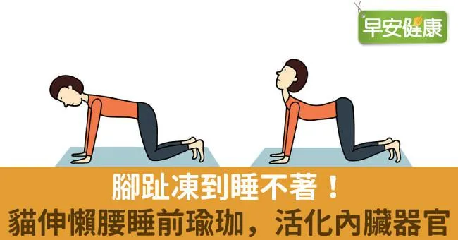 腳趾凍到睡不著！貓伸懶腰睡前瑜珈，活化內臟器官