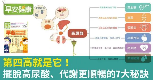 第四高就是它！擺脫高尿酸、代謝更順暢的7大秘訣