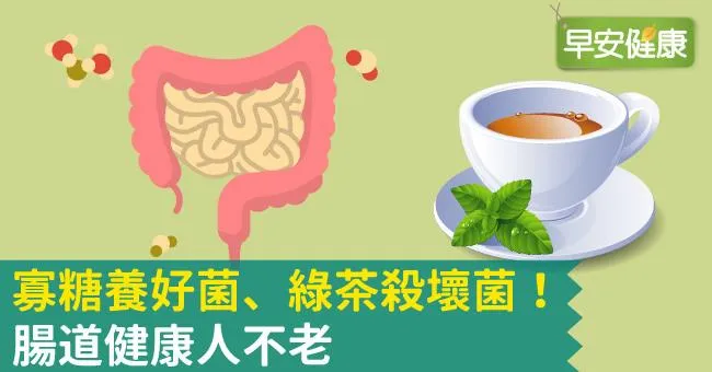 寡糖養好菌、綠茶殺壞菌！靠寡糖、綠茶維持腸道健康