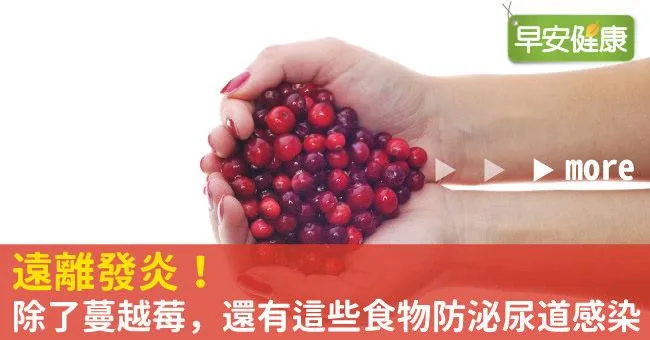 遠離發炎！除了蔓越莓，還有這些食物防泌尿道感染