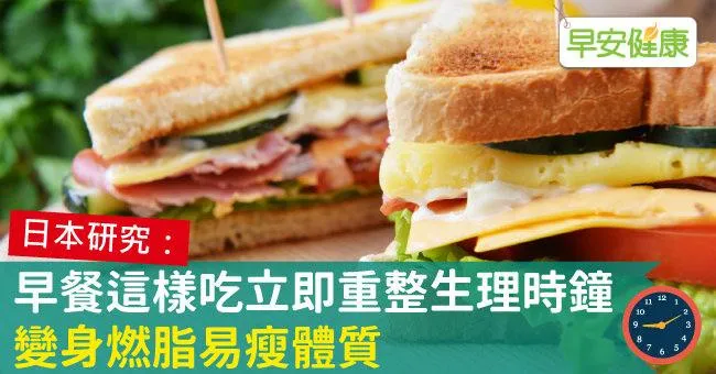 早餐這樣吃立即重整生理時鐘，變身燃脂易瘦體質