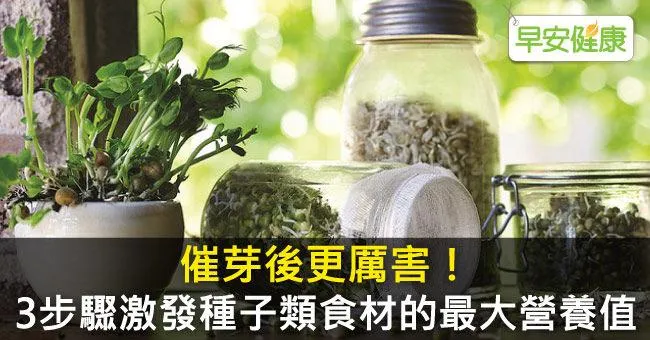 催芽後更厲害！3步驟激發種子類食材的最大營養值