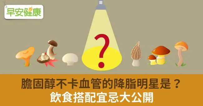 膽固醇不卡血管的降脂明星是？飲食搭配宜忌大公開