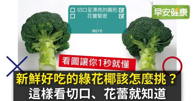 新鮮好吃的綠花椰該怎麼挑？這樣看切口、花蕾就知道