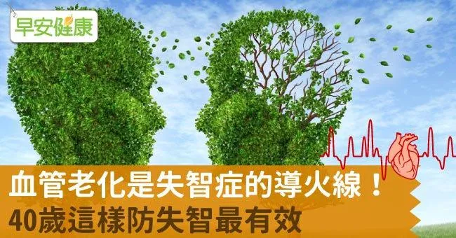 血管老化是失智症的導火線！40歲這樣防失智最有效