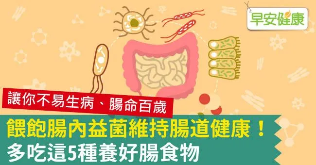 餵飽腸內益菌維持腸道健康！5種養好腸食物你該多吃