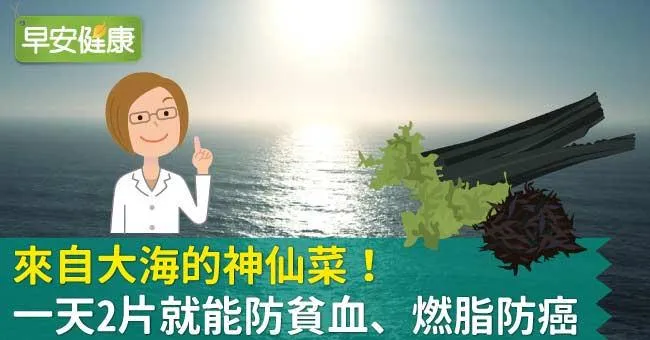 來自大海的神仙菜！一天2片就能防貧血、燃脂防癌