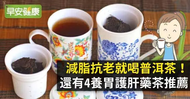 減脂抗老就喝普洱茶！還有4養胃護肝藥茶推薦