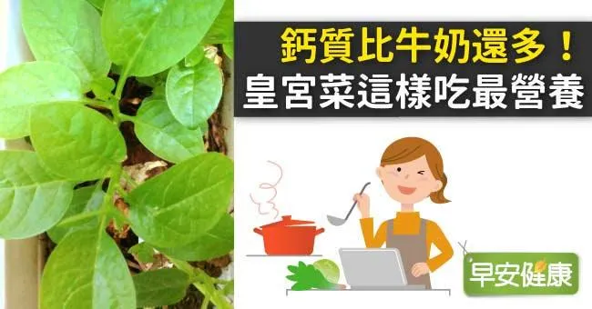 皇宮菜鈣質比牛奶還多！這樣吃皇宮菜最營養