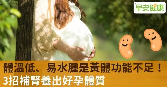 體溫低、易水腫是黃體功能不足！3招補腎養出好孕體質