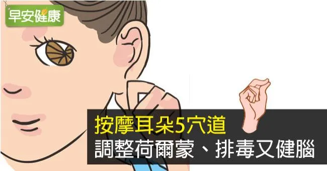 按摩耳朵5穴道，調整荷爾蒙、排毒又健腦