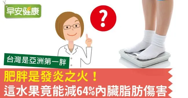 肥胖是發炎之火！這水果竟能減64％內臟脂肪傷害