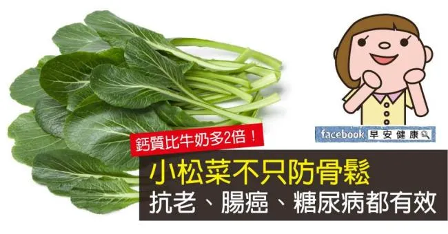 鈣質比牛奶多2倍！小松菜不只防骨鬆，抗老、腸癌、糖尿病都有效