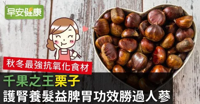 「千果之王」栗子，護腎養髮益脾胃功效勝過人蔘