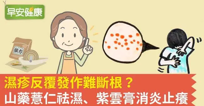 濕疹反覆發作難斷根？山藥薏仁祛濕、紫雲膏消炎止癢