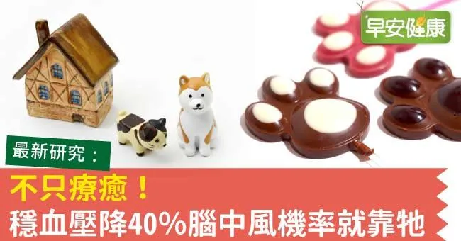 不只療癒！穩血壓降40％腦中風機率就靠牠