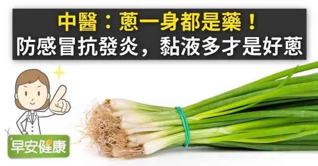 中醫：蔥一身都是藥！防感冒抗發炎，黏液多才是好蔥