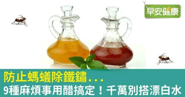 防止螞蟻除鐵鏽...9種麻煩事用醋搞定！千萬別搭漂白水
