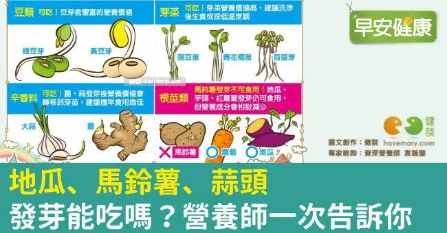 地瓜、馬鈴薯、蒜頭，發芽能吃嗎？營養師一次告訴你